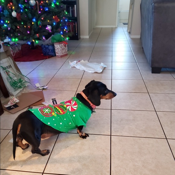 Meet your Posher, Diana - Picture 12 of 16